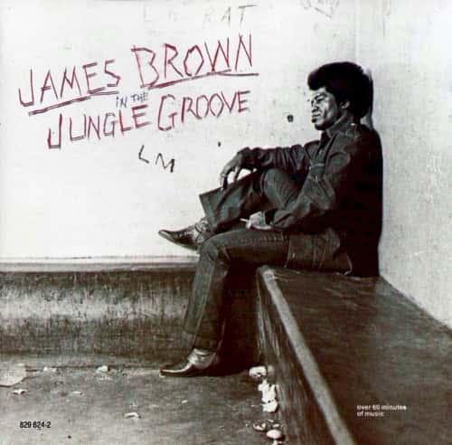 James Brown - In the Jungle Groove